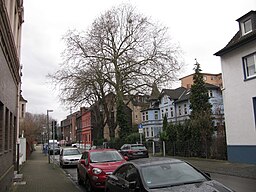 Vohwinkelstraße, 1, Bulmke-Hüllen, Gelsenkirchen