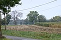 Čeština: Pole severně od vesnice Vosná, Jihočeský kraj English: A field south from the village of Vosná, Central Bohemian Region, CZ