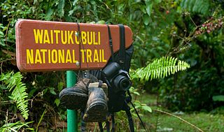 <span class="mw-page-title-main">Waitukubuli Trail</span>