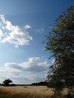 <span class="mw-page-title-main">Wanstead Flats</span> Southernmost part of Epping Forest, England