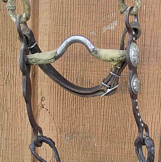 <span class="mw-page-title-main">Curb bit</span> Horse tack