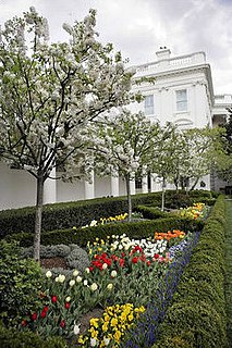 White House Rose Garden Garden outside the White House in Washington, D.C., US