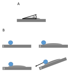 A) A water droplet on a superhydrophilic surface has a very low water contact angle since water will spread out on the surface. B) Dirt or debris (blue circle) on a super hydrophilic surface can be lifted off of the surface as water spreads beneath it. When water slides off of the surface, the debris is removed with the water. Wiki Figure Superhydrophilic.tif