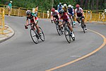 Thumbnail for Cycling at the 2015 Pan American Games – Women's road race