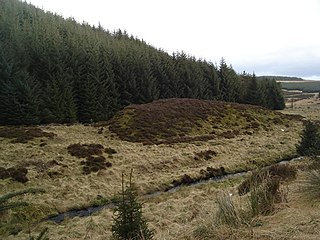 Wormy Hillock Henge Neolithic henge monument