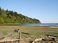 Wreck Beach looking south.jpg