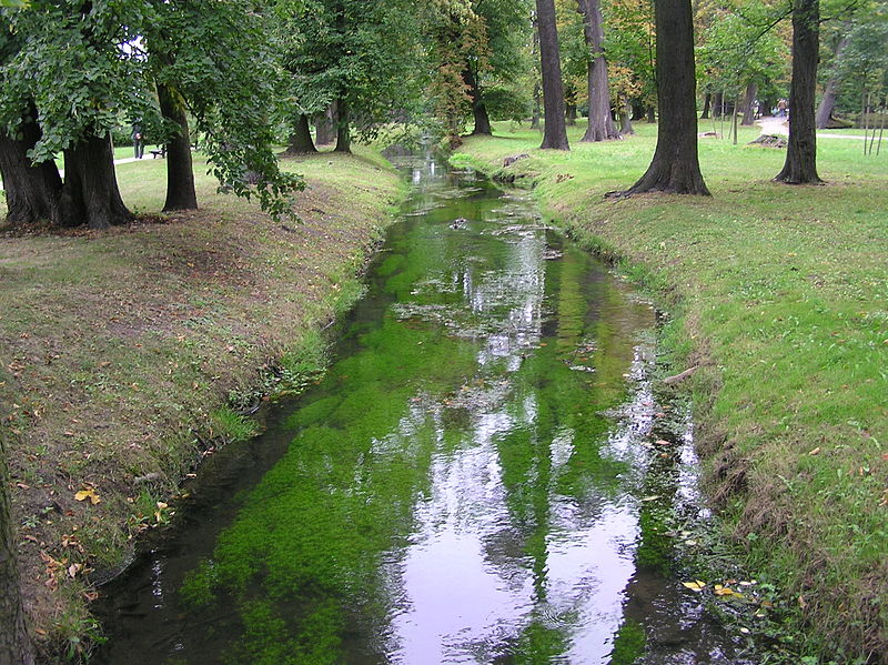 File:Wrocław, Park Brochowski 2009-09-06 - 101.jpg