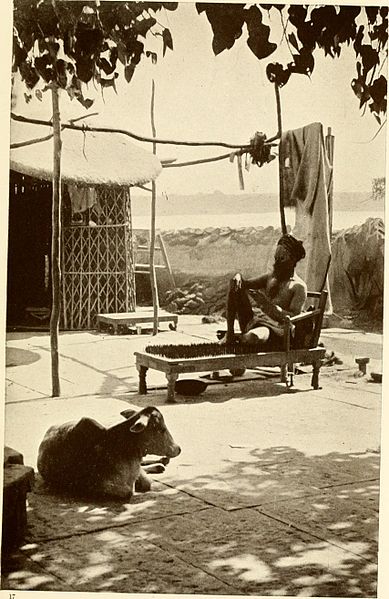 File:YOGI ON A BED OF SPIKES 1913.jpg