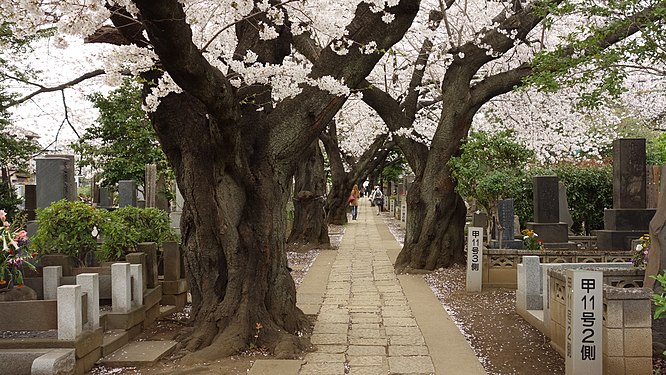 Tokyo, Japan