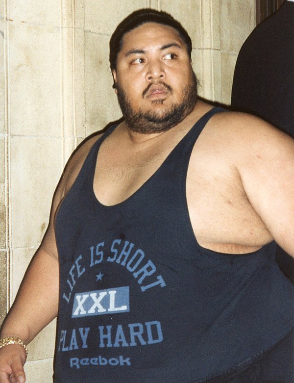 Anoaʻi in 1995