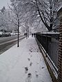 York College Springettsbury Ave Snow.jpg