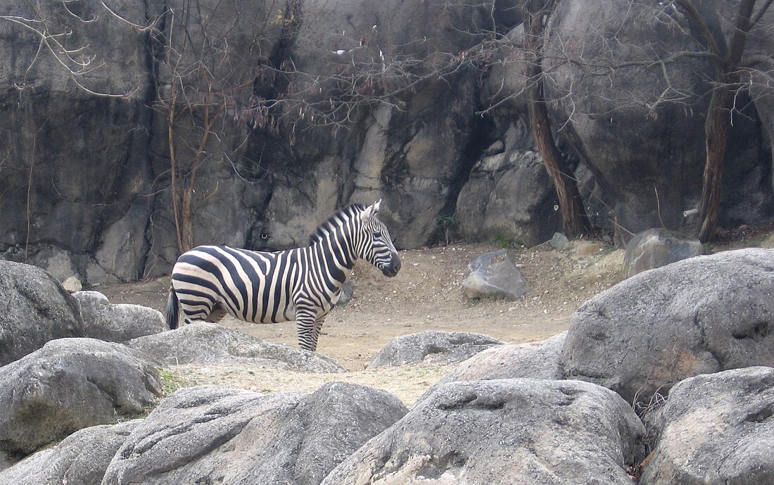 The Maryland Zoo