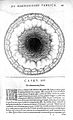 "De metaphysico macrosmi...ortu", Fludd, 1617 Wellcome L0016166.jpg