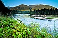 '10 Sunrise looking South along Slocan River - panoramio.jpg