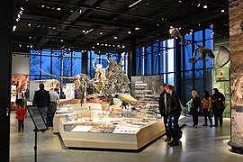 'Life in the Mesozoic' - Burke Museum.jpg