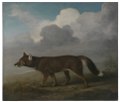 'Portrait of a Large Dog' (Dingo) RMG L8136.tiff