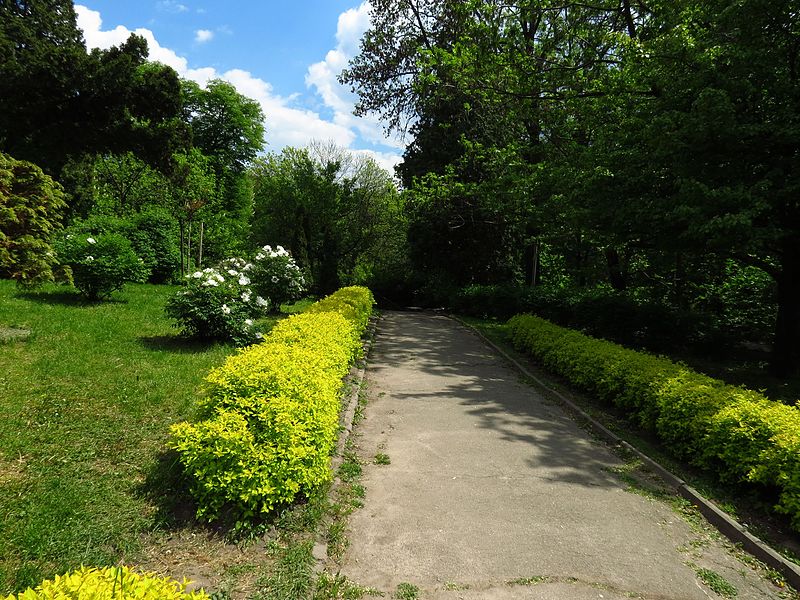 File:Ботанічний сад ім. І.Фоміна IMG 9196.jpg
