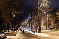 Вечірня зимова Соборна біля парку ім. Шевченка - panoramio.jpg