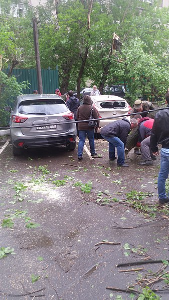 File:Последствия урагана в Люберцах (Московская область).jpg