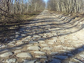 Старая дорога близ урочища Рантолово