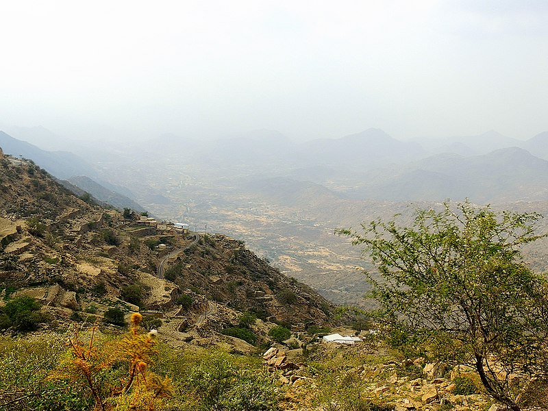 File:ال مجدوع - panoramio.jpg