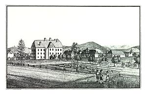 Schloss Liebenau - 1830