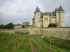 Castillo de Saumur.