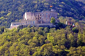 Imagen ilustrativa del artículo Castillo de Hambach