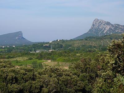 Le pic Saint-Loup et la montagne d'Hortus vus depuis le mas de Bouis.