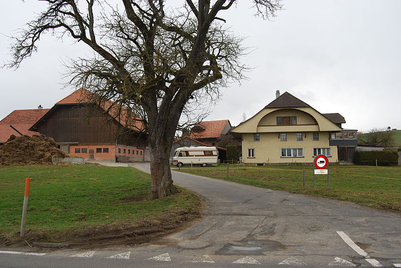 File:2010-03-28-Mamishaus (Foto Dietrich Michael Weidmann) 209.jpg