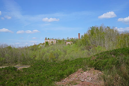 Ruins of the Arthur-de-Buyer coal mine, overgrown.