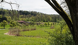 The Goldbach shortly after the outflow from the Rößlesmahdsee