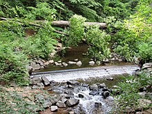 A small dam on Sligo Creek