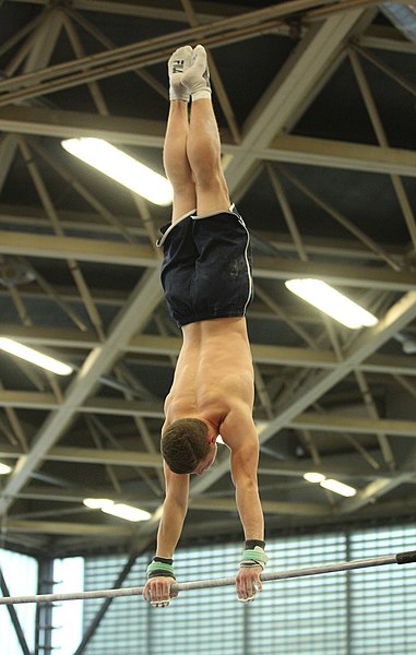 File:2019-05-24 Budapest Cup training horizontal bar (Martin Rulsch) 201.jpg