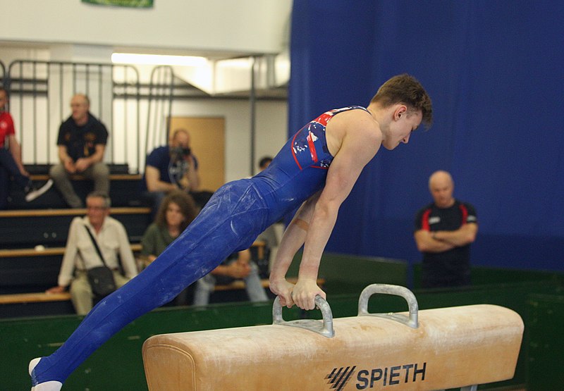 File:2019-05-25 Budapest Cup age group I all-around competition pommel horse (Martin Rulsch) 124.jpg
