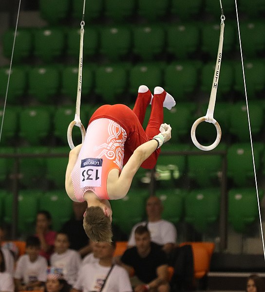 File:2019-06-27 1st FIG Artistic Gymnastics JWCH Men's All-around competition Subdivision 3 Still rings (Martin Rulsch) 008.jpg