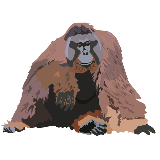File:202003 Orangutan.svg