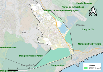 Carte des ZNIEFF de type 1 sur la commune.