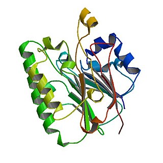 <span class="mw-page-title-main">Crc (protein)</span>