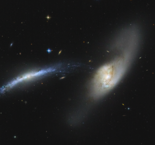 <span class="mw-page-title-main">NGC 2798</span> Barred spiral galaxy in the constellation Lynx