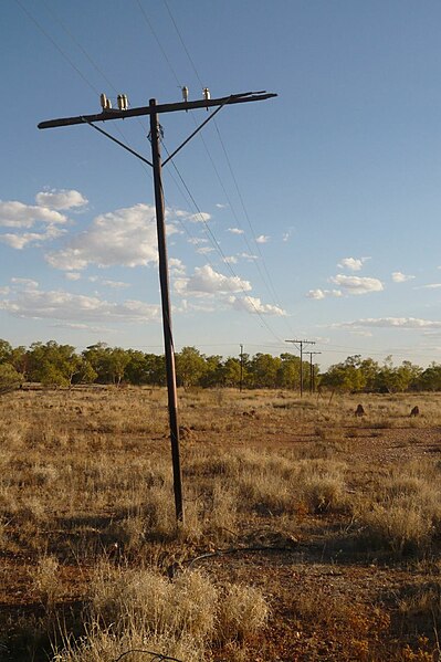 Remains of the Overland Telegraph line at Tennant Creek converted into telephone circuits.
