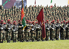 Image 49Soldiers of the Afghan National Army in 2010, including the ANA Commando Battalion standing in the front.