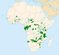 Distribution of Loxodonta africana africana and Loxodonta africana cyclotis (with national borders)