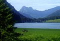 Aggenstein vom Vilsalpsee