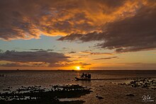 Palm Bay-Melbourne Airboat returns at sunset (22344608645).jpg