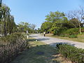 国営明石海峡公園 (15)