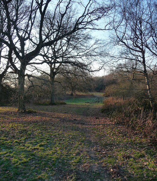 File:Alderstead Heath (7) - geograph.org.uk - 5261872.jpg