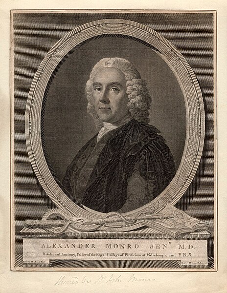 Fichier:Alexander Monro primus.jpg