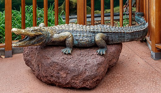 Alligator mississippiensis Loro parque Tenerife