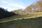 Alpine Meadow, Berkhamsted